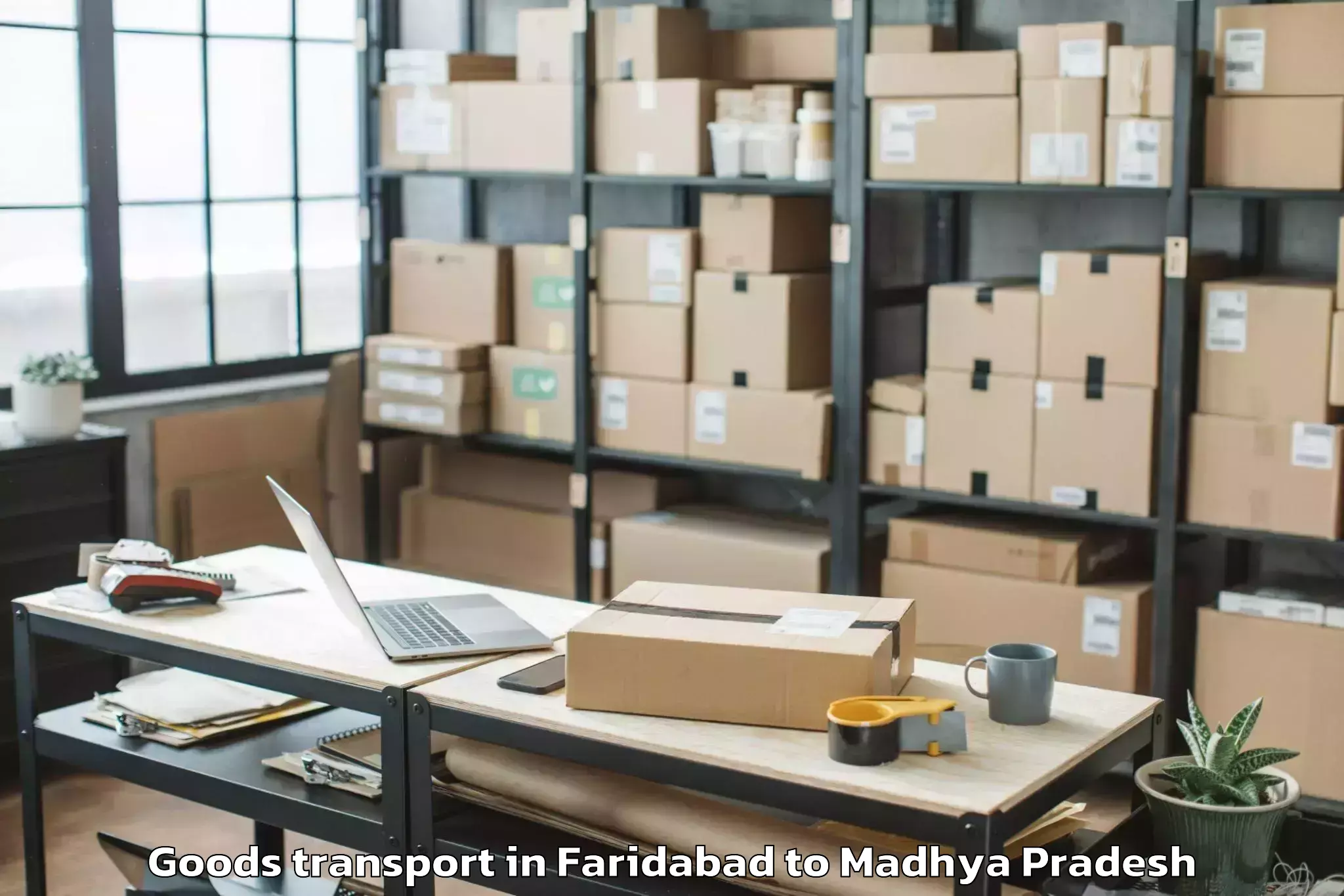 Book Faridabad to Basoda Goods Transport Online